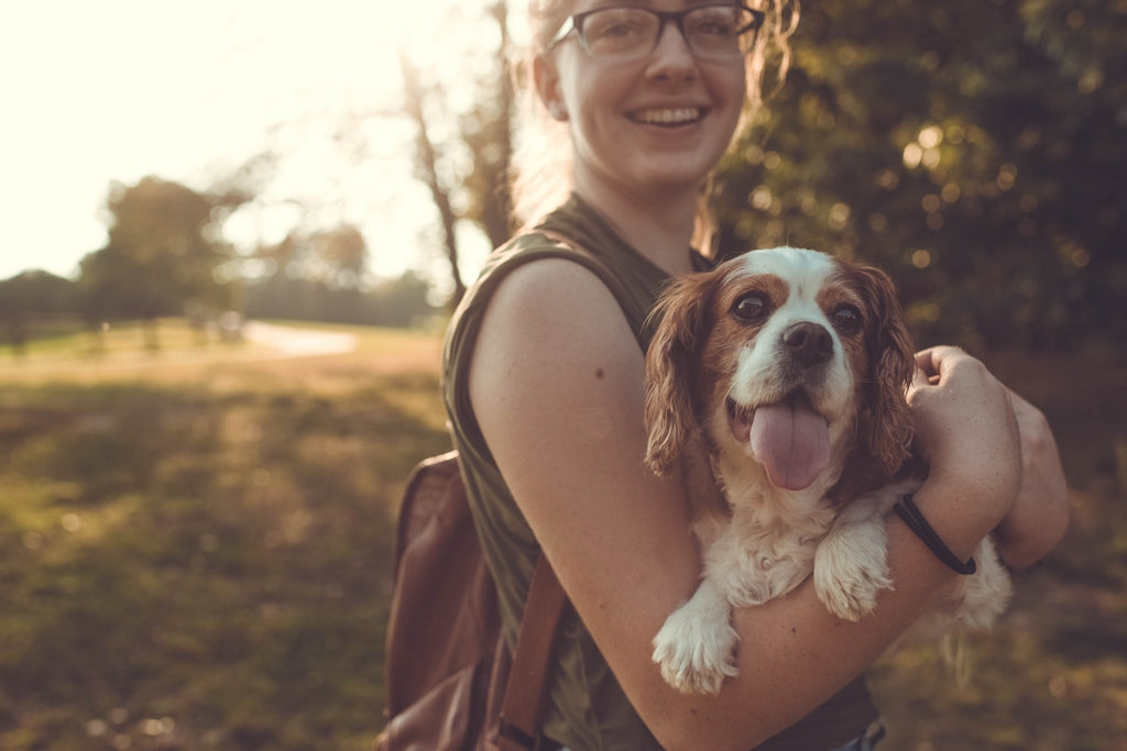 12 formas de identificar padres perrunos – Kaniber