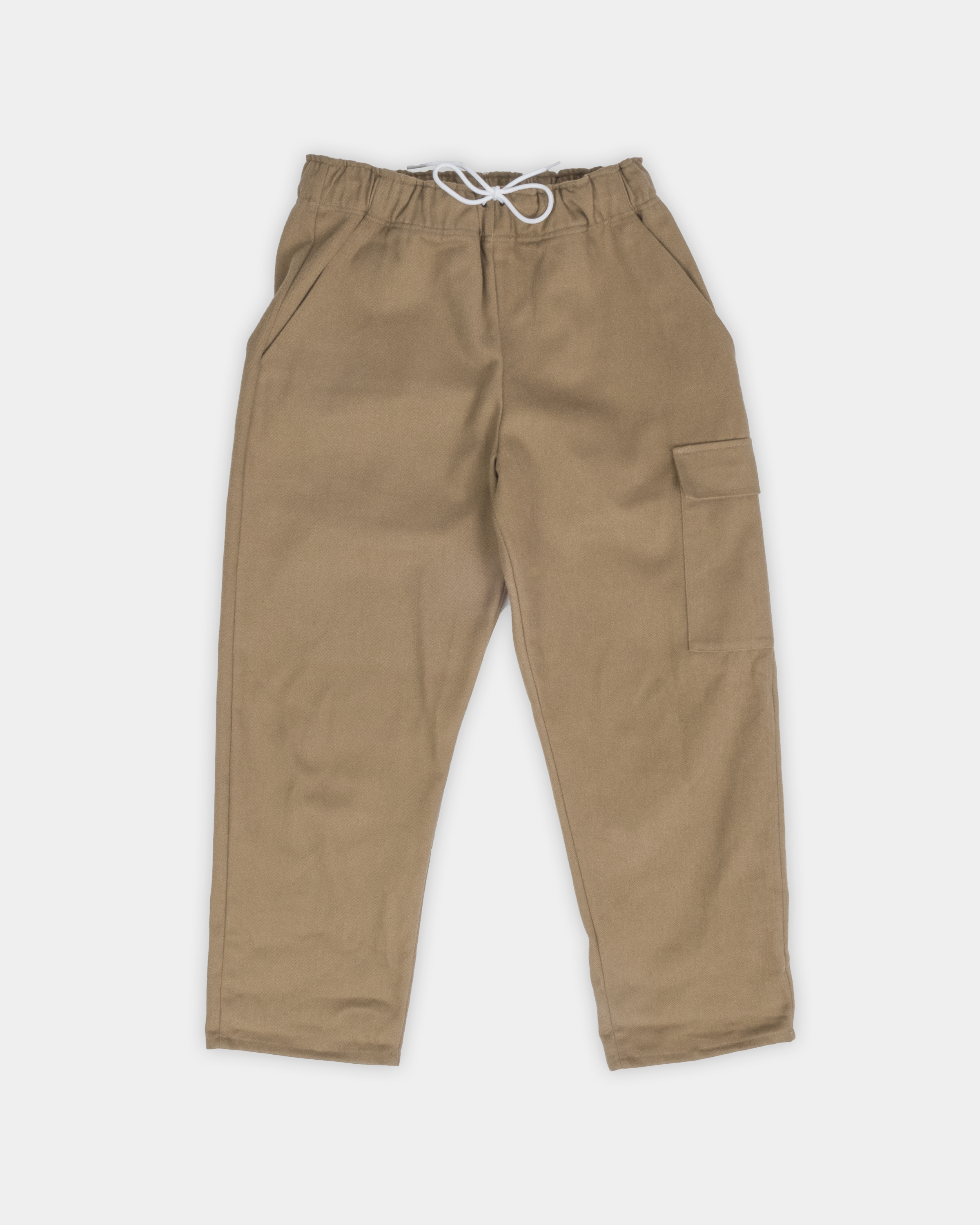 Boothe Cargo Pant - Earth