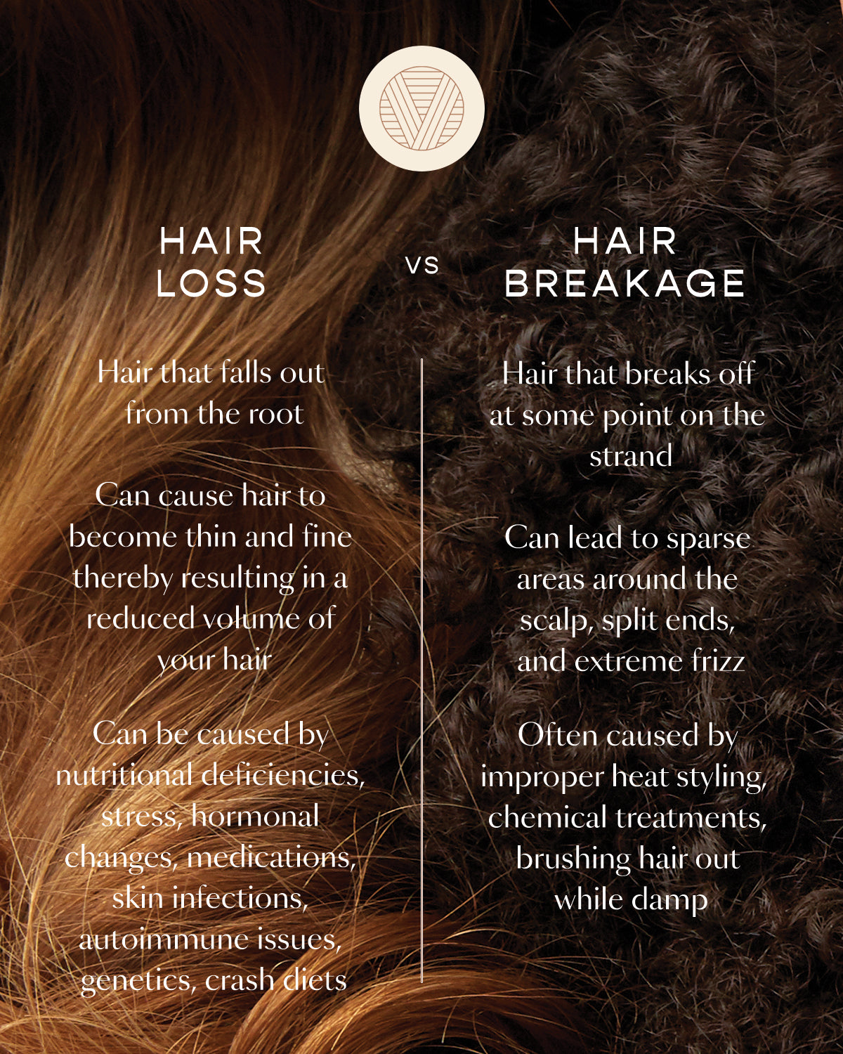 How to Prevent and Stop Hair Breakage 9 Home Remedies