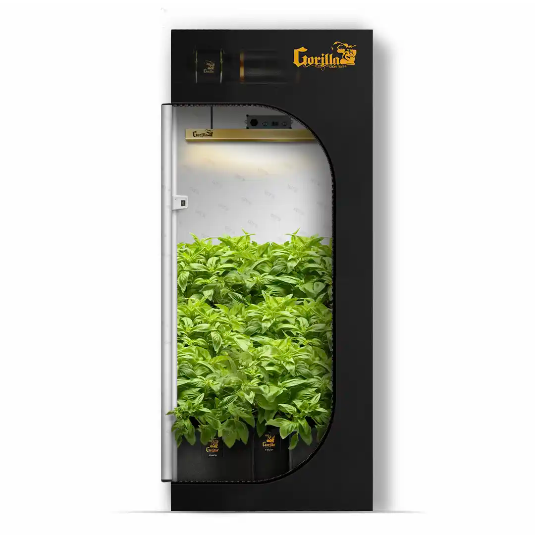 2x2 gorilla grow tent
