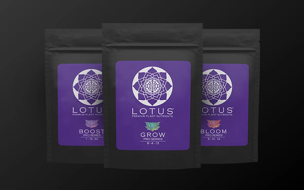 Lotus plant nutrition