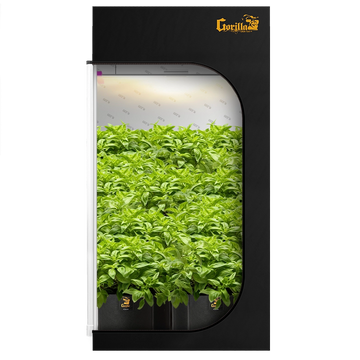 The All New Gorilla Grow Tent 2x4