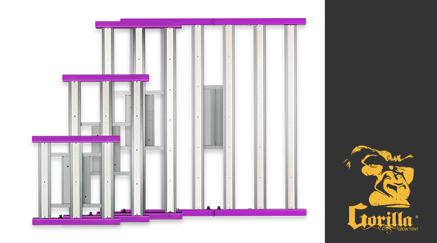 The Best LED Grow Light