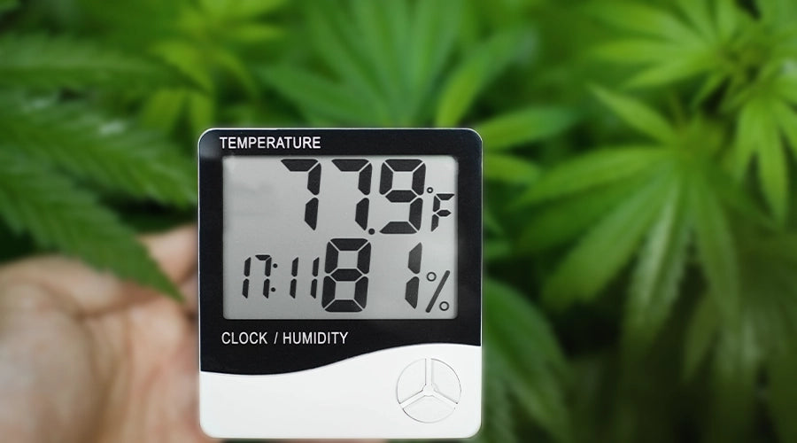 How to increase humidity in a grow tent