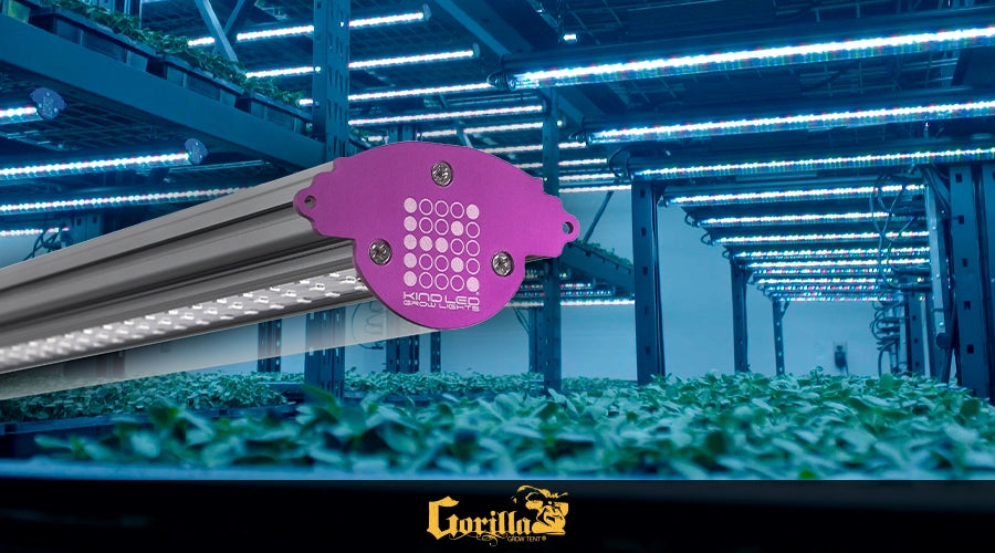 Indoor Gardening Made Easy with LED Grow Lights Kind Bar Light