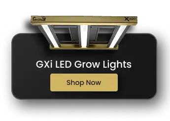 GXI Grow Light