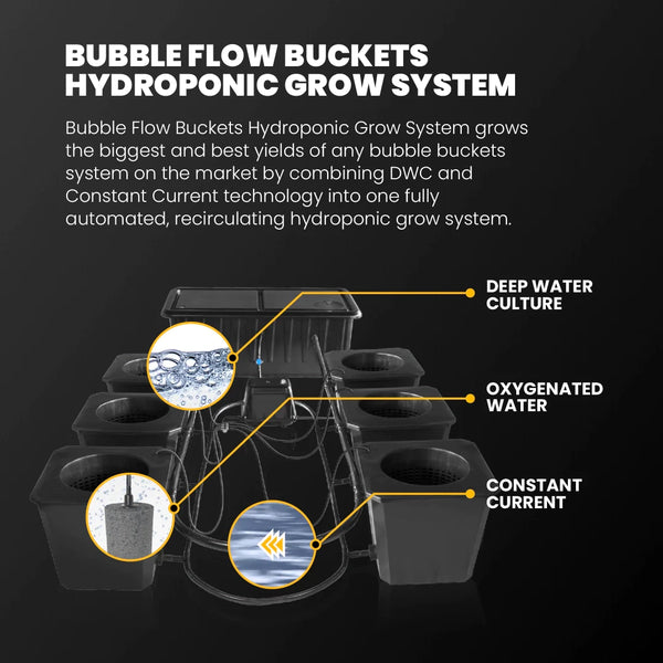 Hydroponic Bucket System: High-Quality, Space-Efficient Gardening