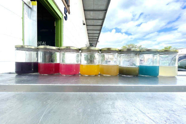 LiveBrine color samples in jars lined up