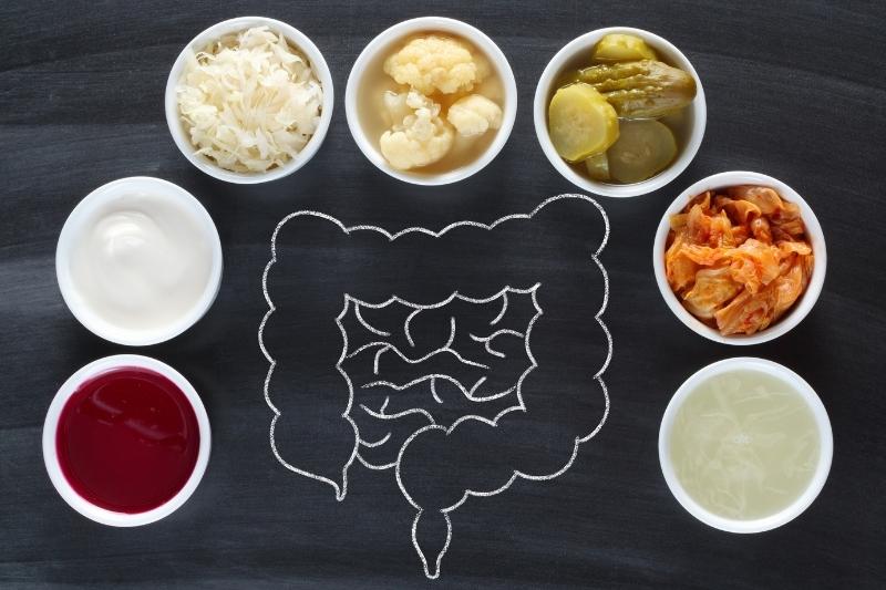 gut healthy fermented foods