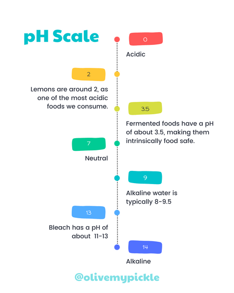 Fermented foods on the pH scale