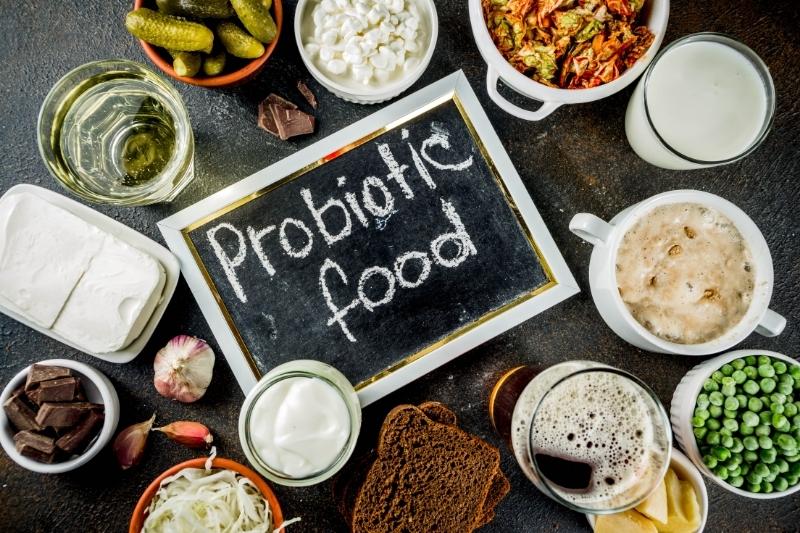 probiotic fermented foods