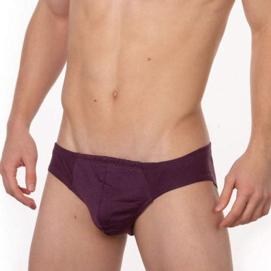 Undergear Contour French Brief