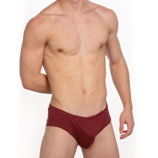 Bordeaux Briefs With White Waistband - Buy Now