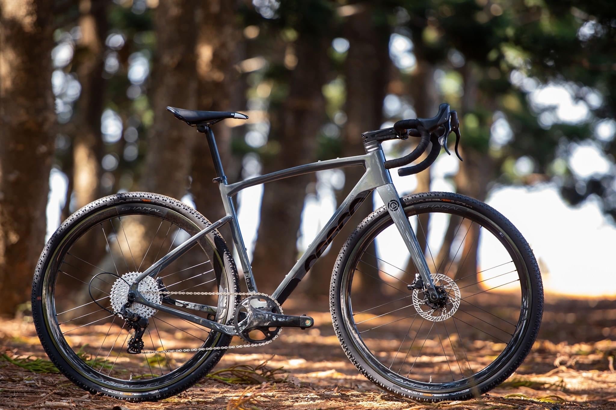 Ceepo Rindo Aero Disc Carbon Gravel Frameset