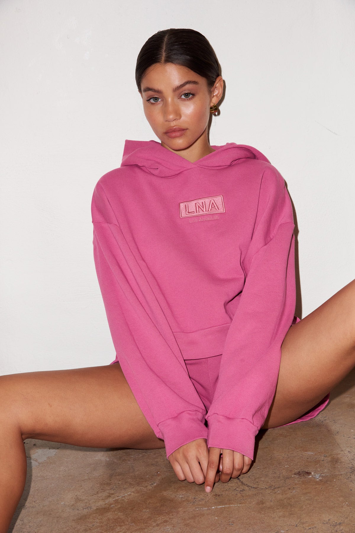 LNA LNA LOGO HOODIE- PINK MAUVE,SW20110