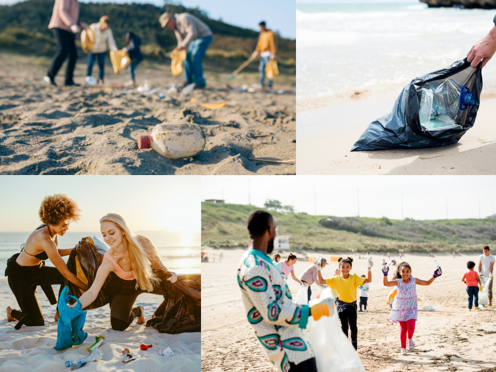 How to organize a successful beach clean-up