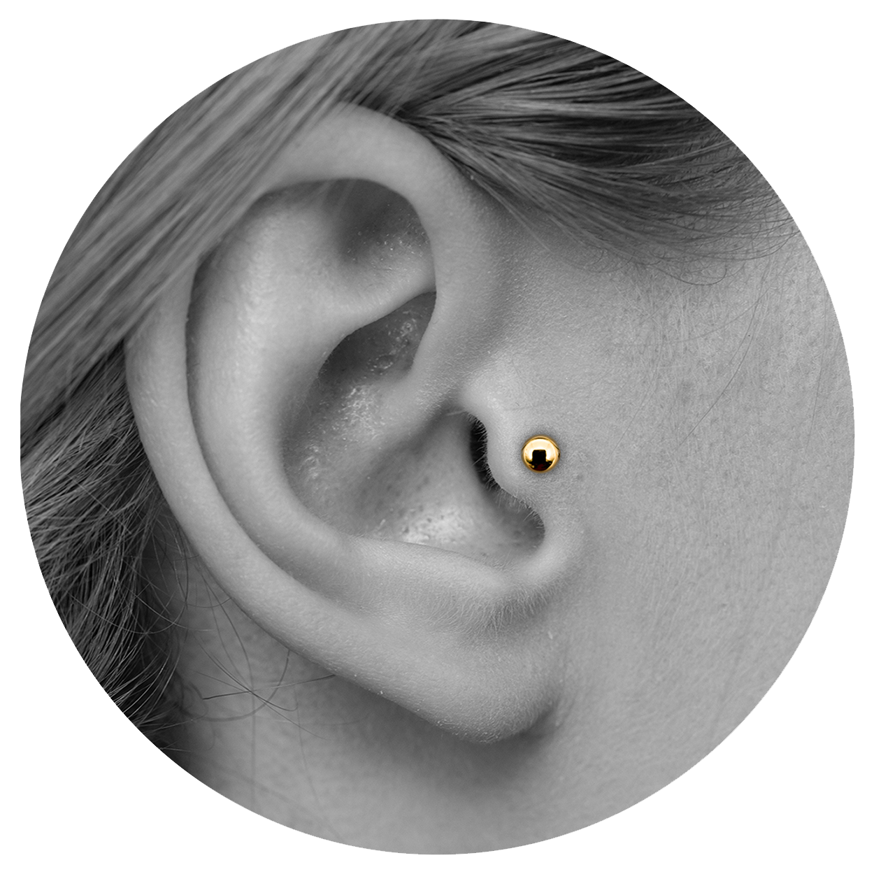 Ear_Tragus