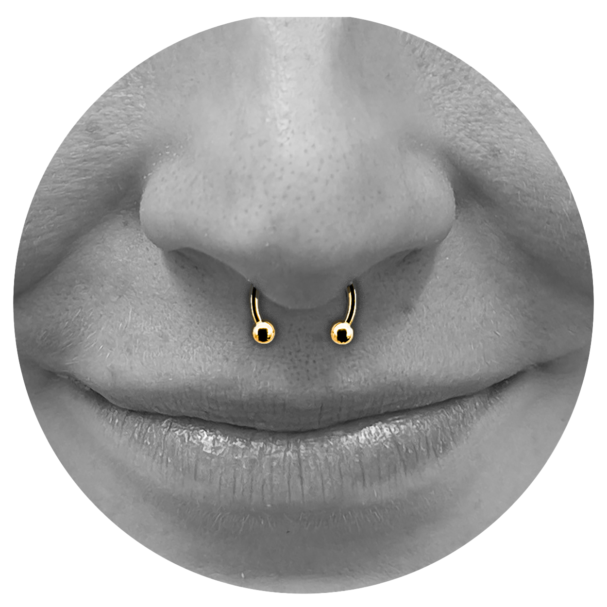 Facial_Septum