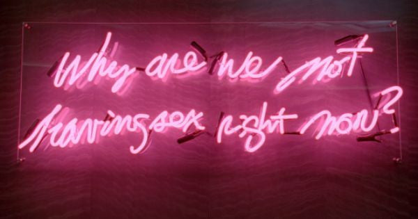 Pink Why Are We Not Having Sex Right Now Neon Sign – Bro Neon Sign