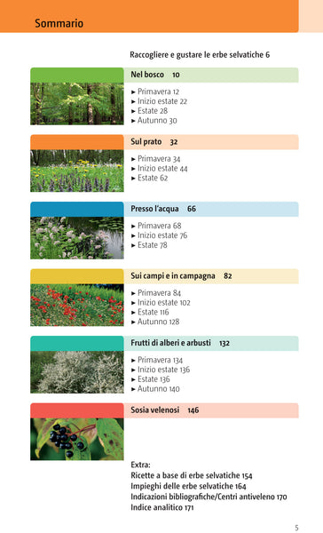 Erbe e frutti selvatici commestibili - Beiser - Ricca Editore - indice