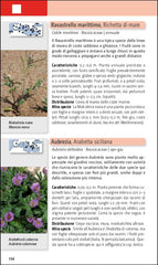 Flora del Mediterraneo schonfelder ricca editore ravastrello aubrezia