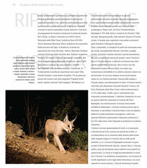 Guida ai felidi felini selvatici del mondo gatto Caracal Ricca Editore Hunter 4
