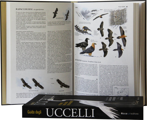 Guida degli uccelli Europa Nord Africa Vicino Oriente Ricca Editore Svensson