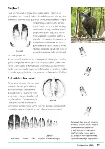 Tracce e segni degli animali Ricca Editore Baker identificare le impronte cinghiale animali da allevamento