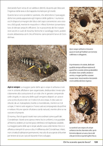 Tracce e segni degli animali Ricca Editore Baker nidi api e vespe