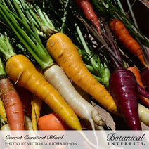 Carnival Blend Carrot Seeds Nav Image 5