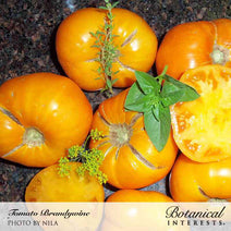 Brandywine Red & Yellow Blend Pole Tomato Seeds Nav Image 4