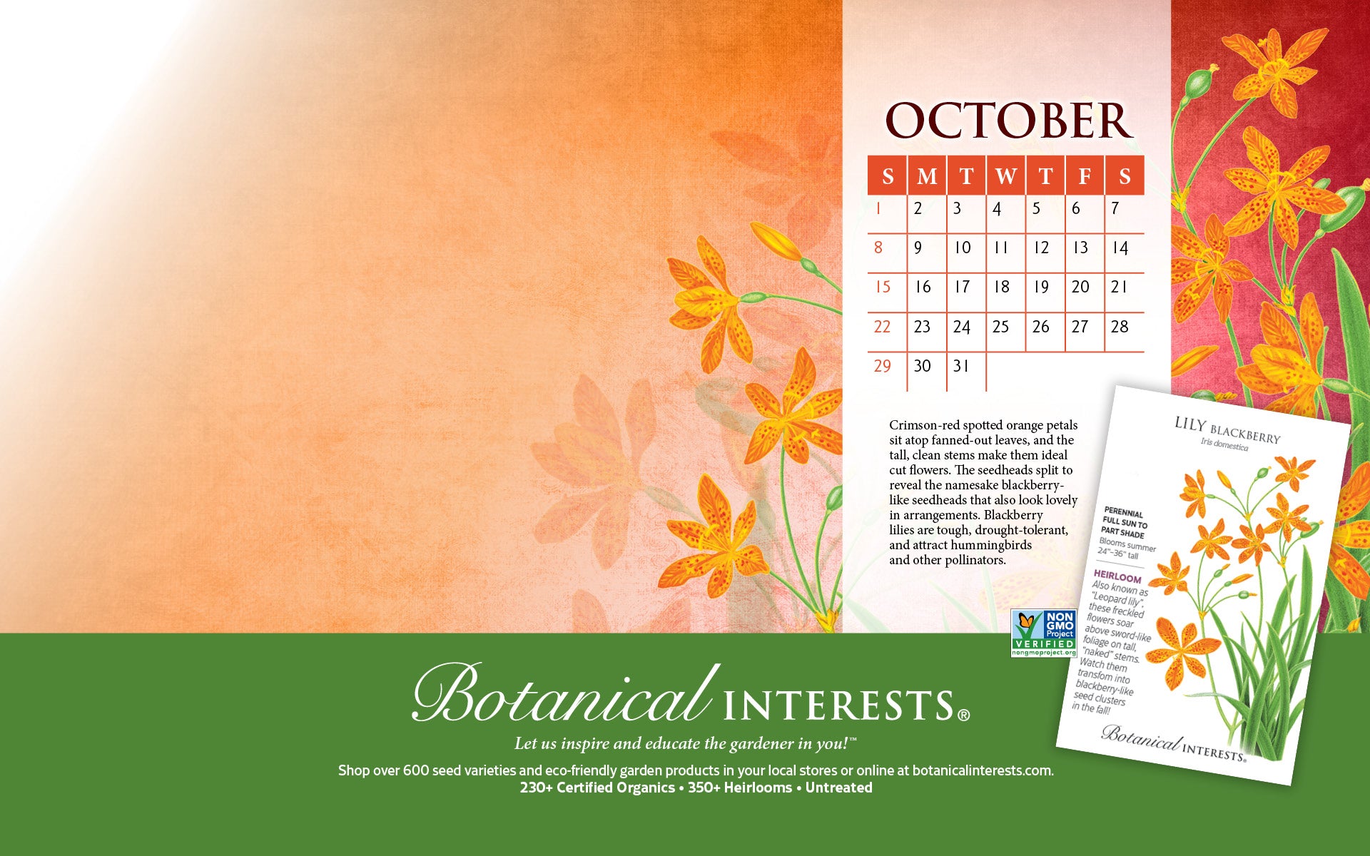 Desktop Wallpaper Calendar – Botanical Interests