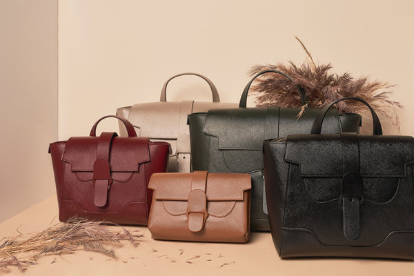 Is the Senreve Maestra Bag Worth the Investment?