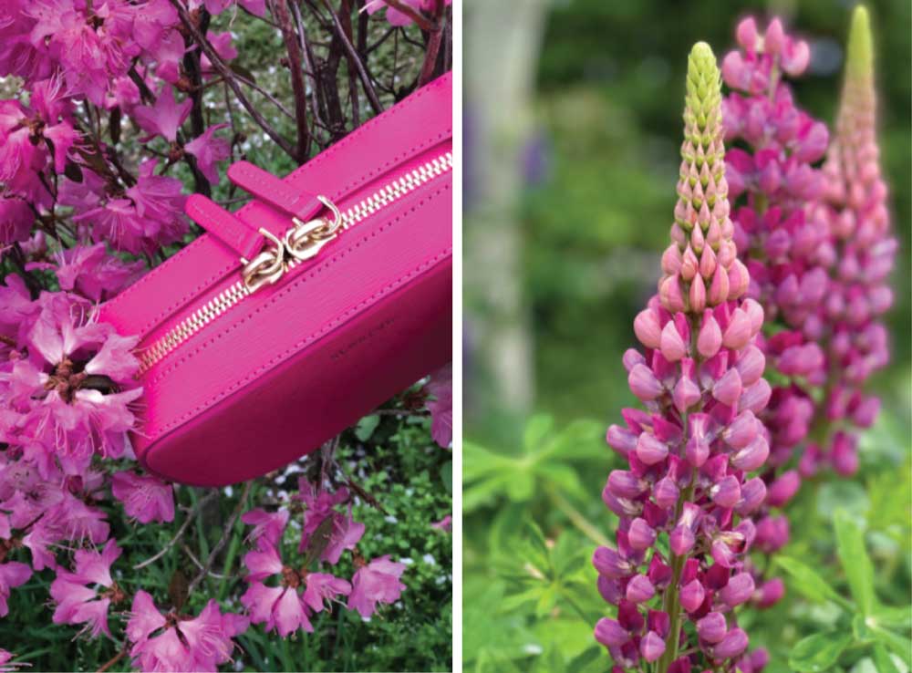 Pink Handbag and Flowers