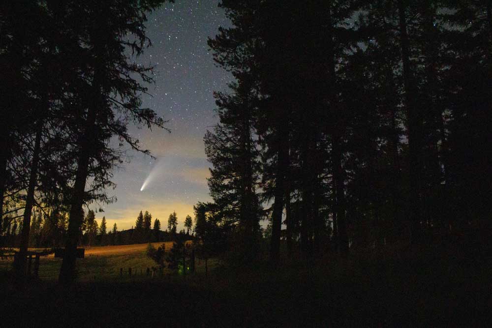 Comet and Trees
