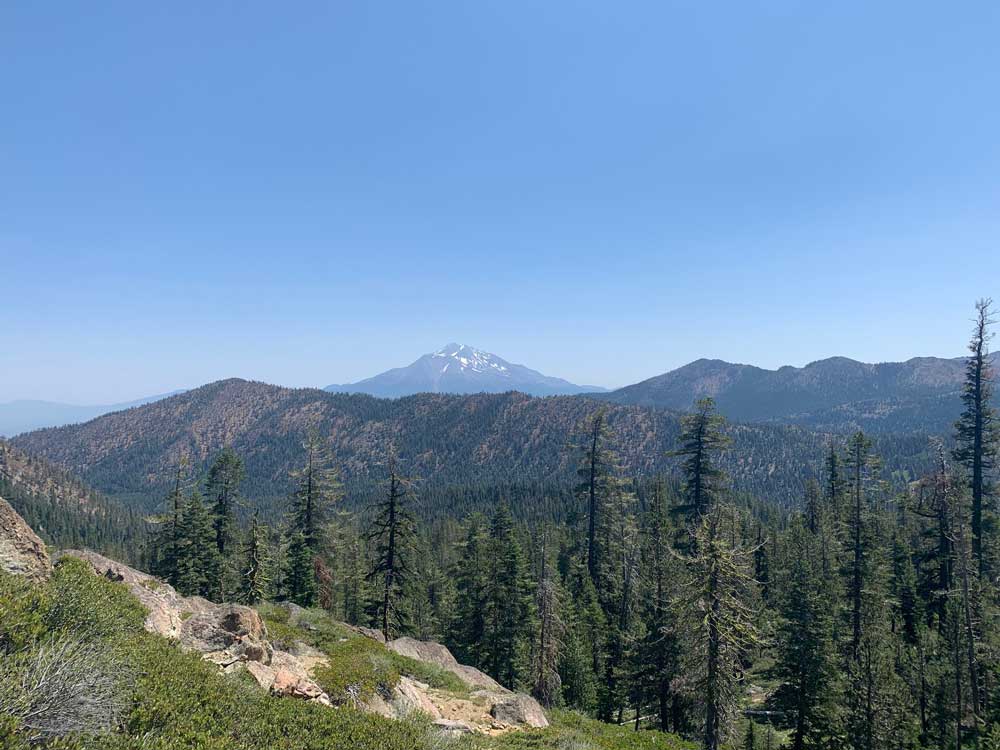 Trees and Mountain