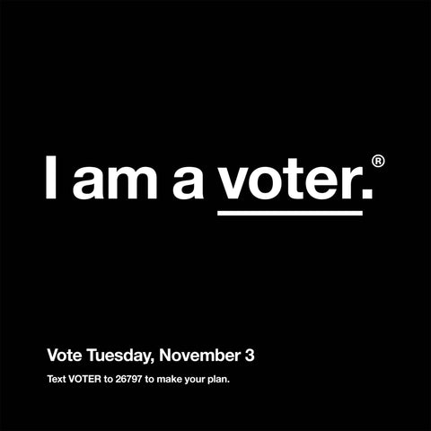 I am a voter.™ social media post