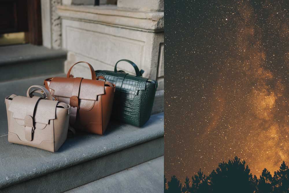 Brown and Green Handbags