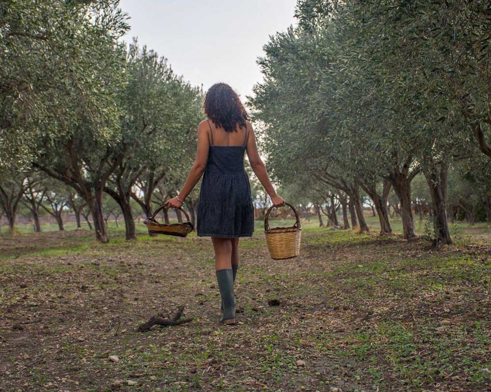 Skyler walking through olive trees
