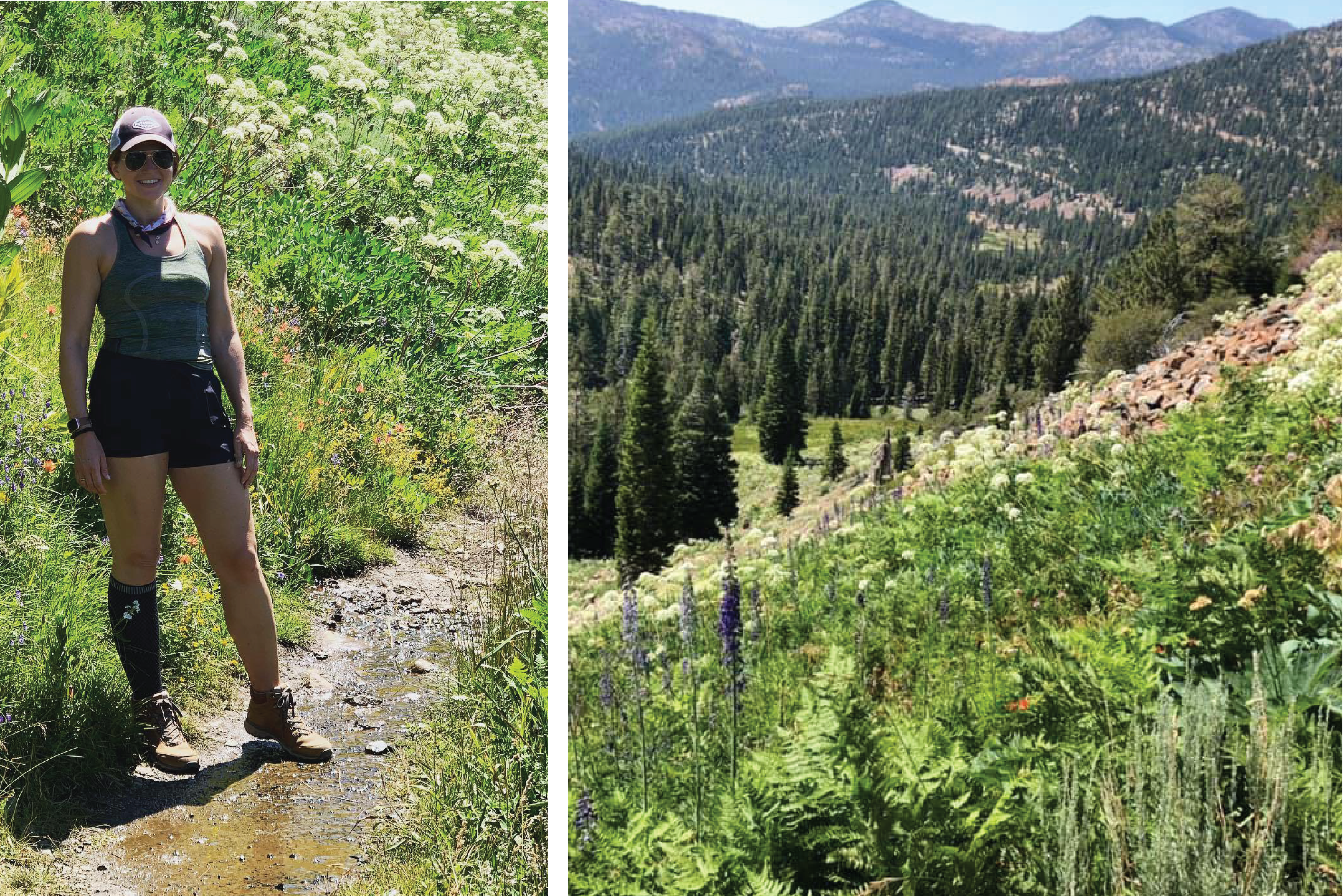 Hiking Trail Collage