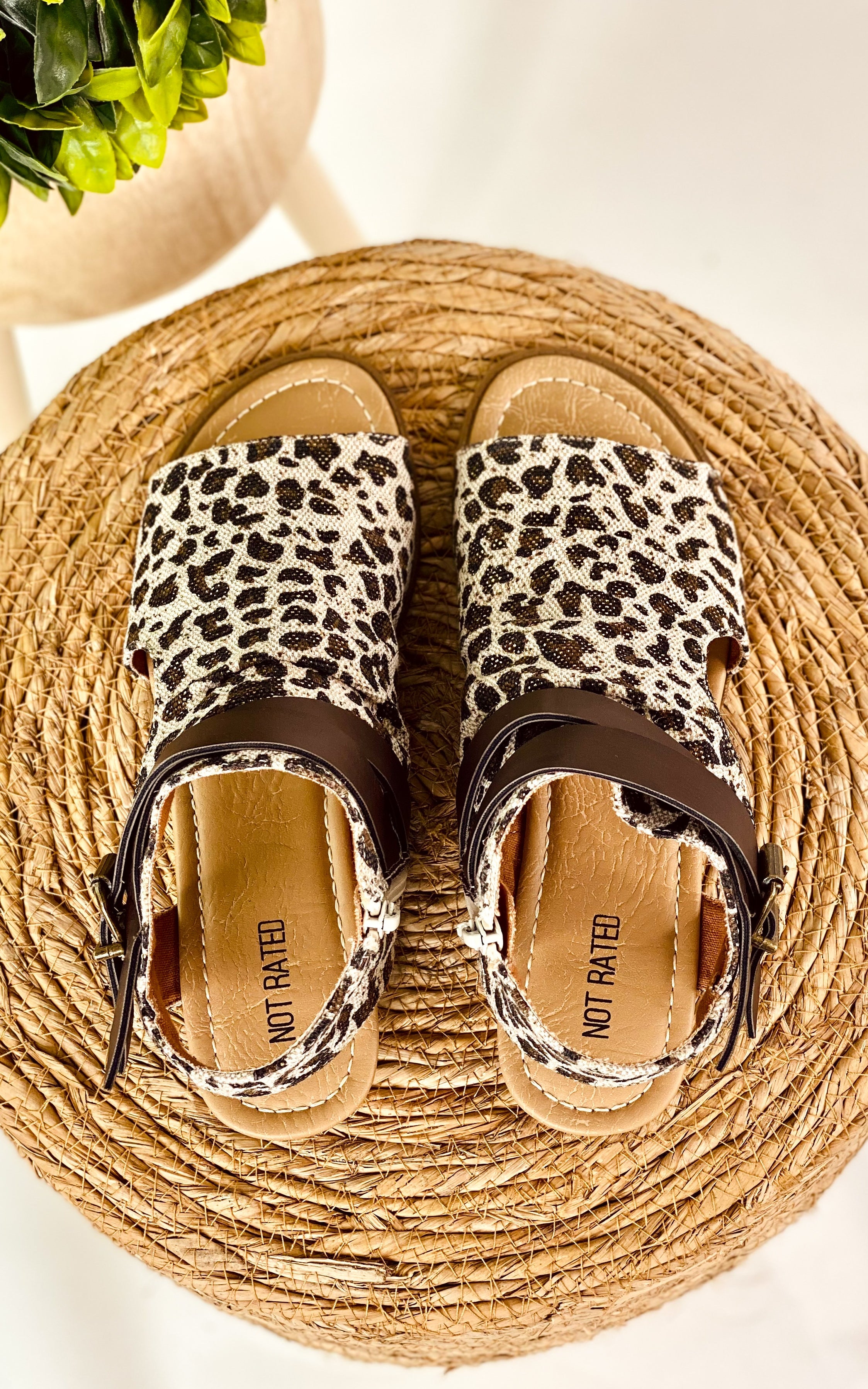 Not Rated Avril Sandal in Leopard - cantonclothingcompany