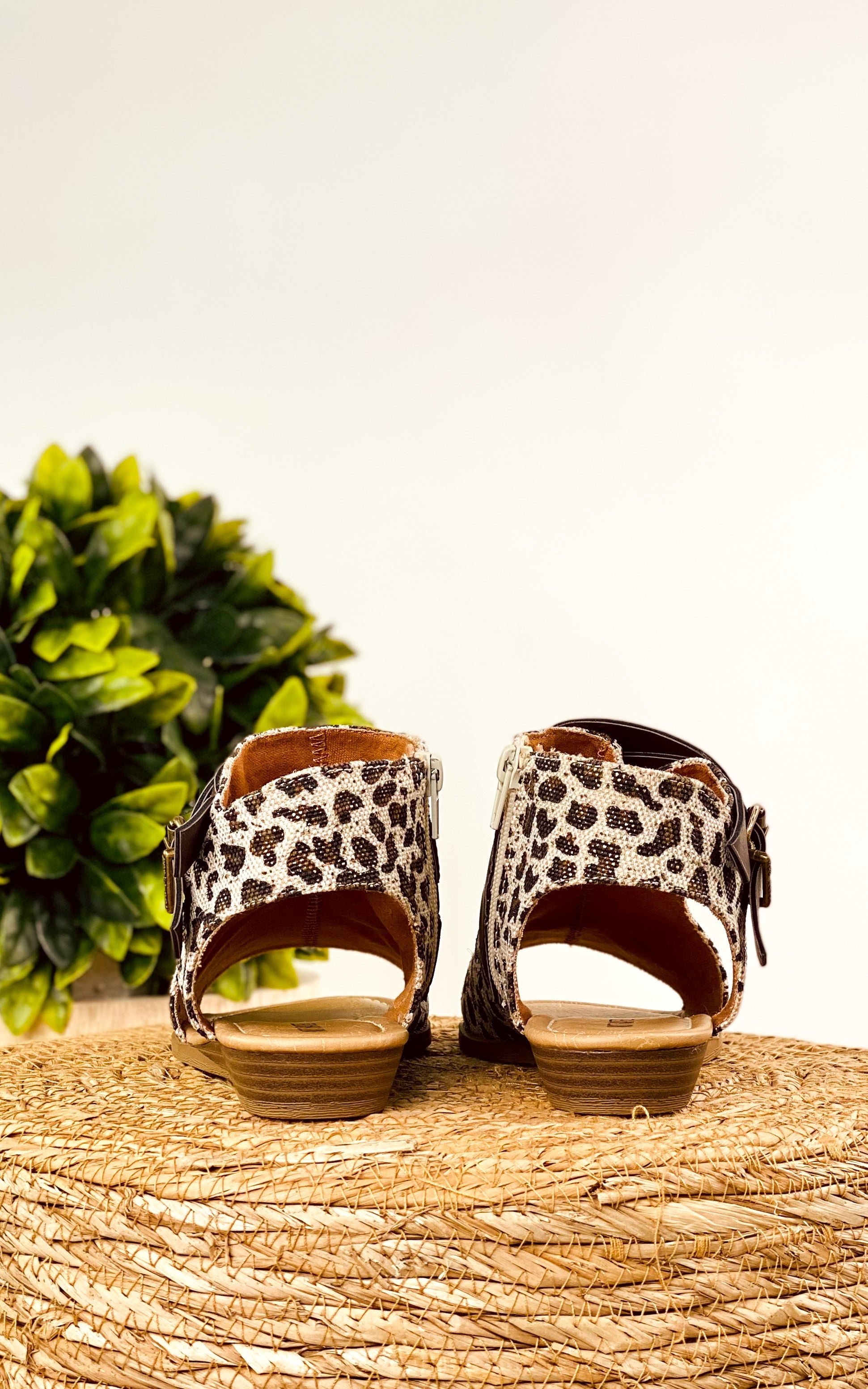 Not Rated Avril Sandal in Leopard - cantonclothingcompany