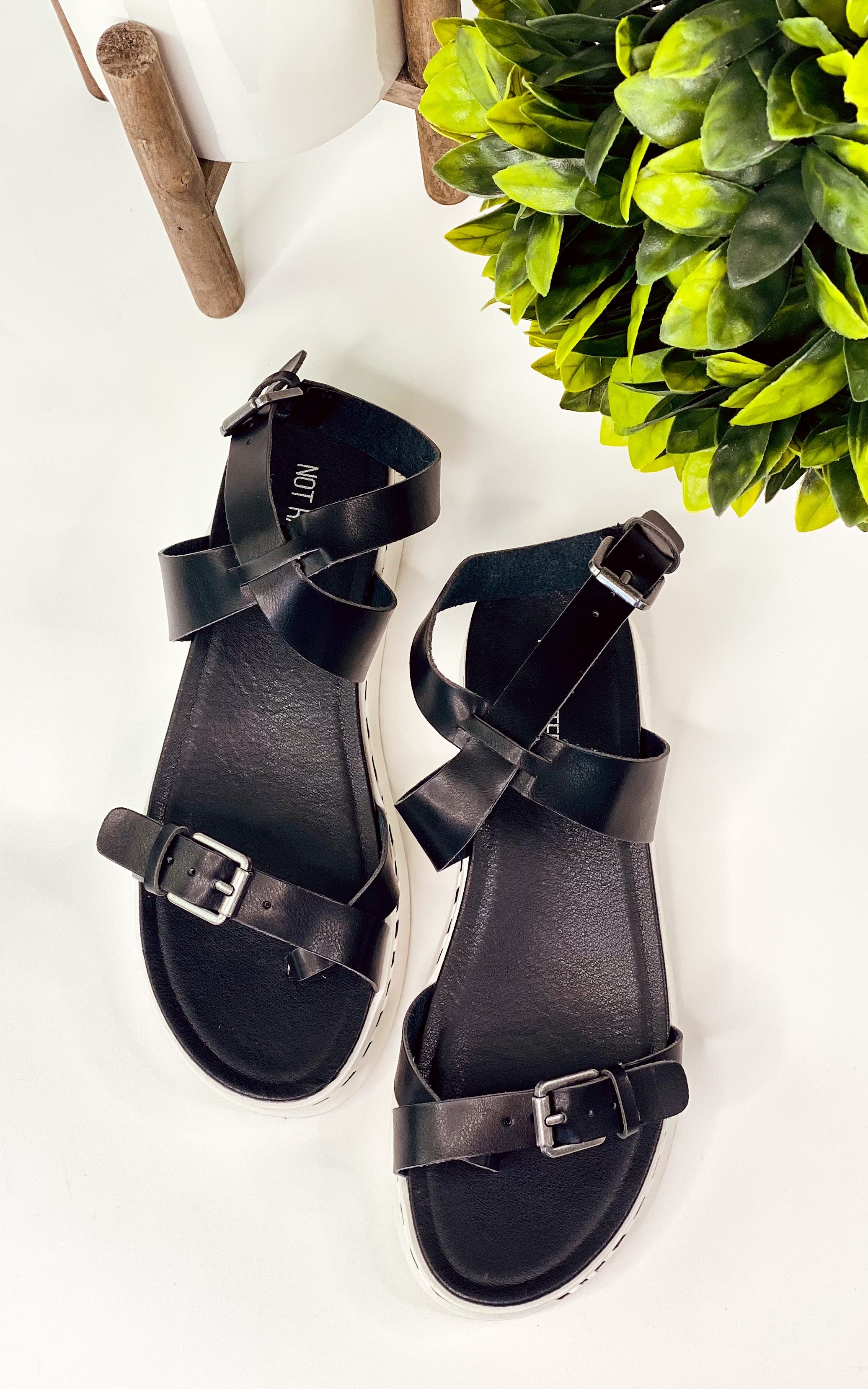 Not Rated Enna Sandal in Black - cantonclothingcompany