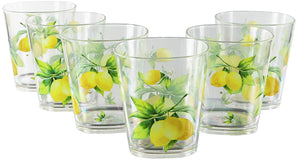 6pc Acrylic Drinkware Set 19oz Fresh Lemons KI2646688