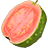 Guava