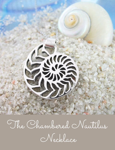 chambered nautilus necklace