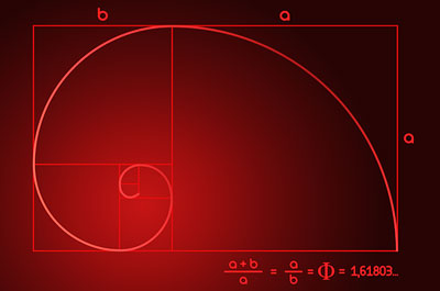 nautilus shell sacred geometry - fibonacci golden spiral