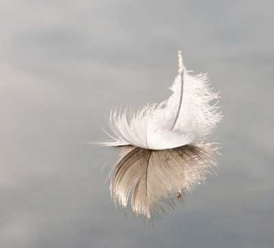 White Feathers: Its Symbolic and Spiritual Meaning in Life