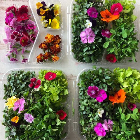 The Rise of Microgreens and Edible Flowers - Edible Sacramento