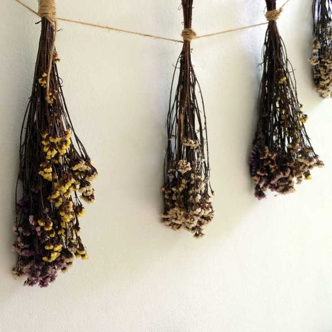 dried flowers